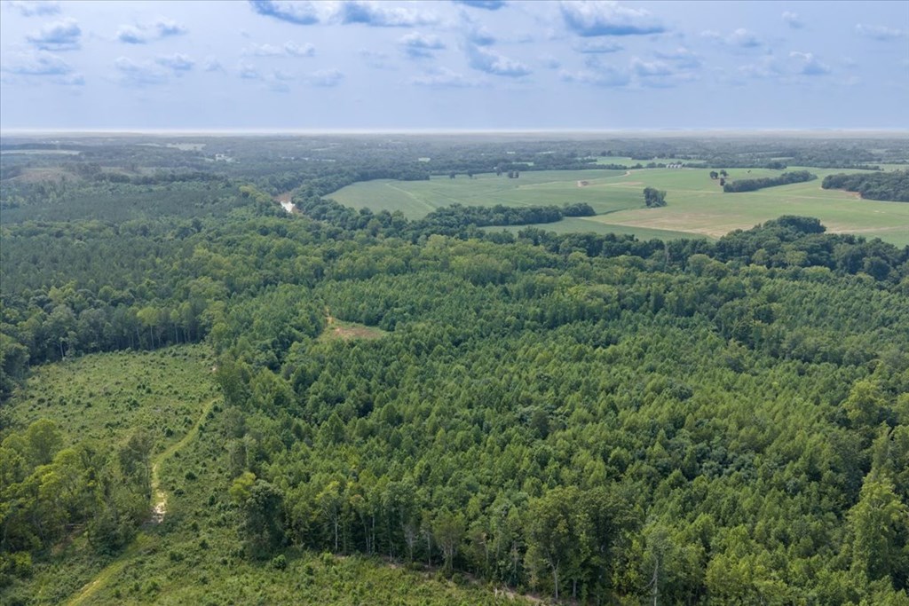 98.63 AC Pointer Road