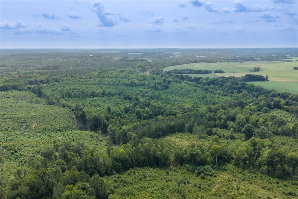 98.63 AC Pointer Road