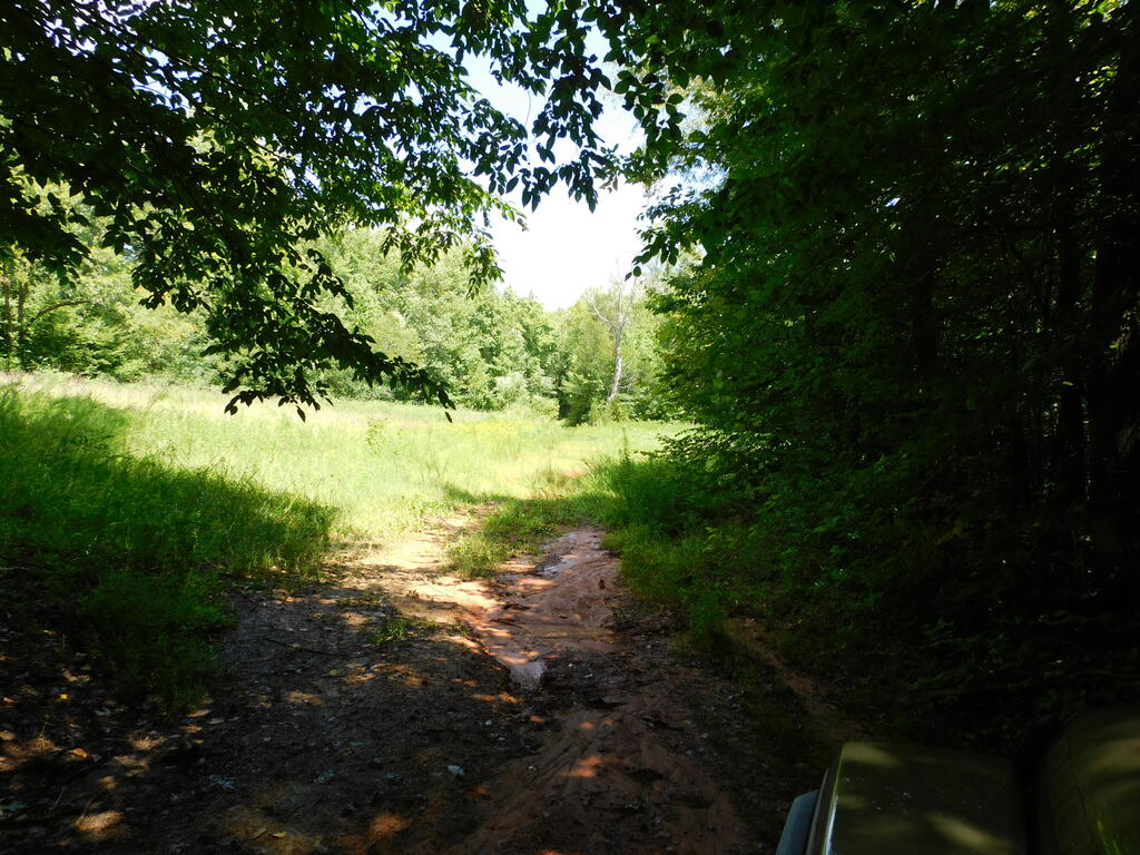 98.63 AC Pointer Road