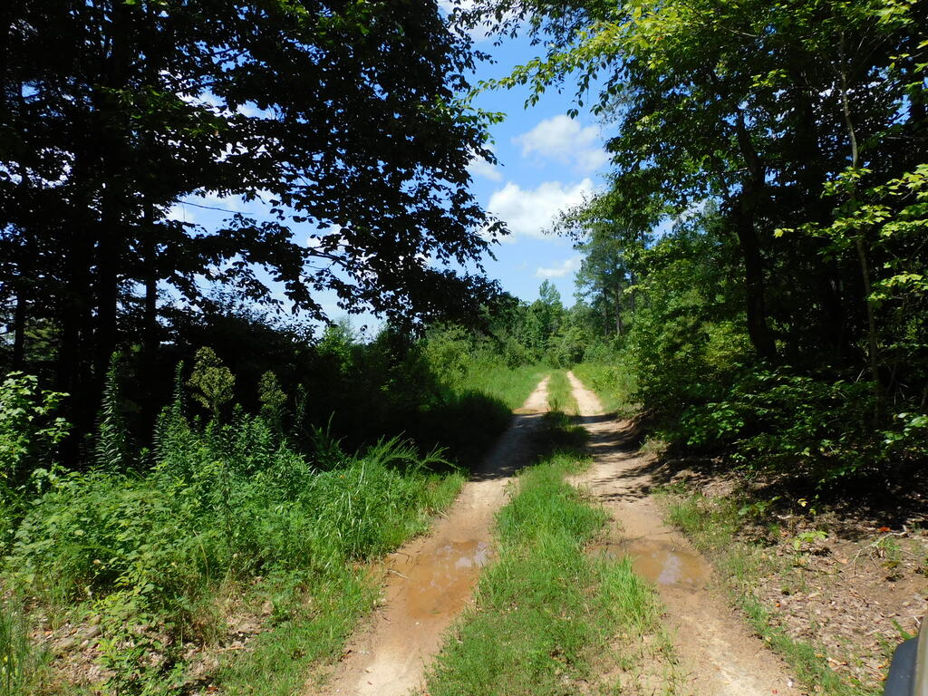 98.63 AC Pointer Road