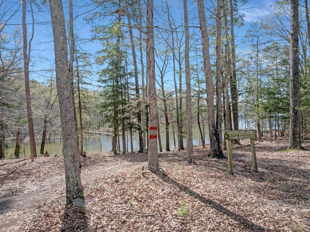 319 Merifield Drive