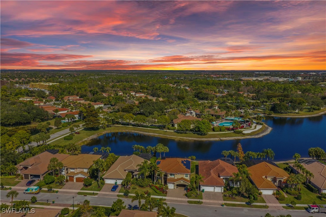 1411 Princess Sabal PT