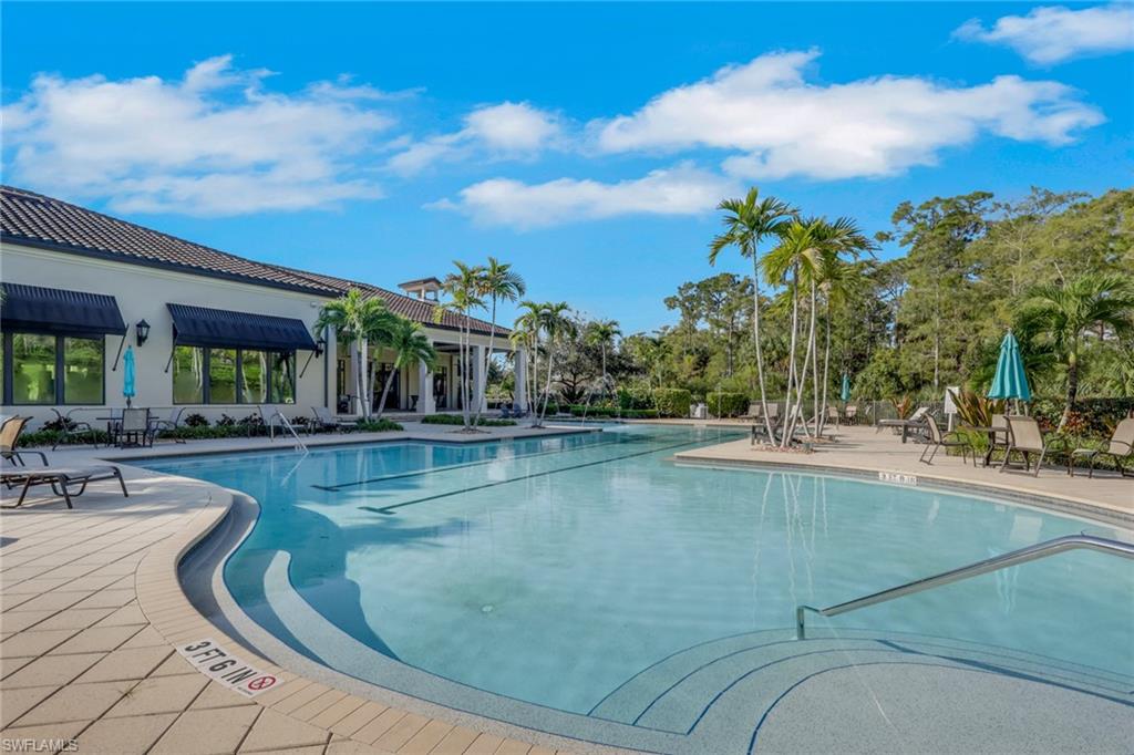 Outdoor pool with curved entry steps, palm trees, lounge chairs, and a building with awnings.