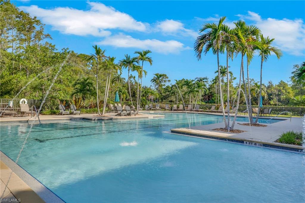 Outdoor pool with a shallow tanning ledge, palm trees, and lounge chairs.