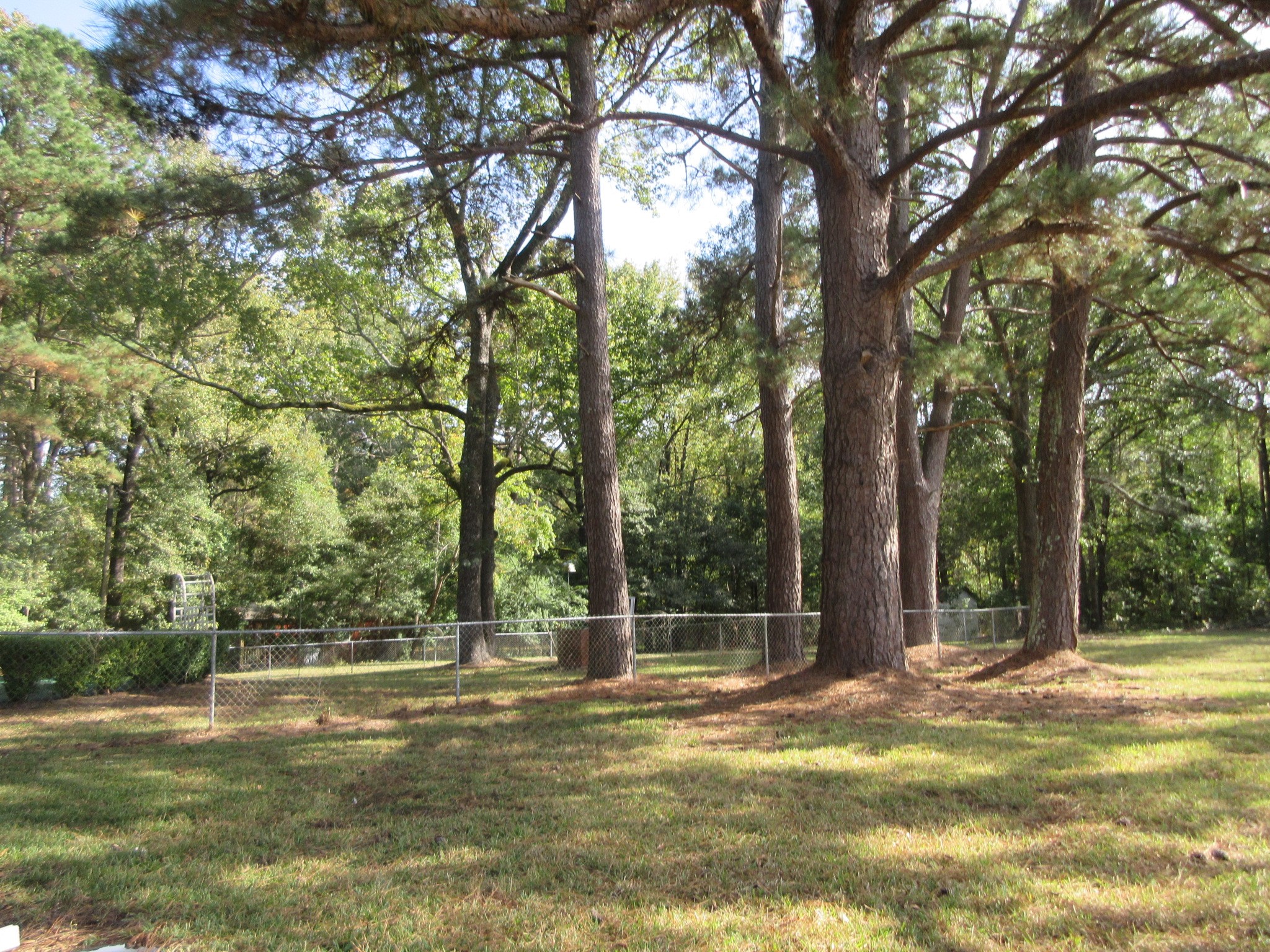 3359 Green Terrace Road