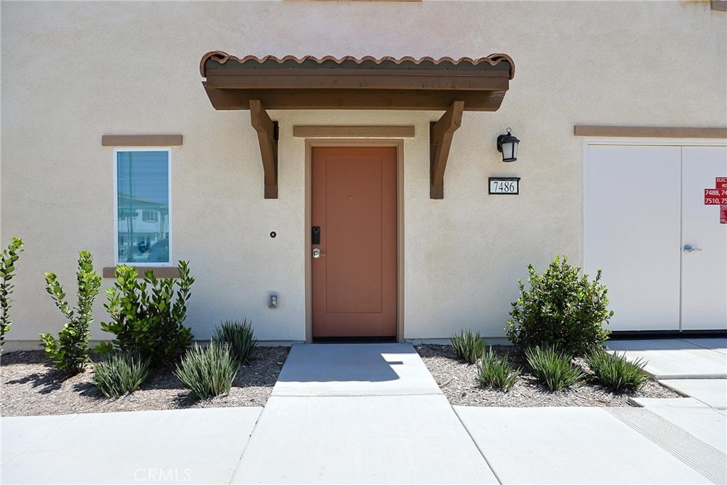 7486 Olive Grove