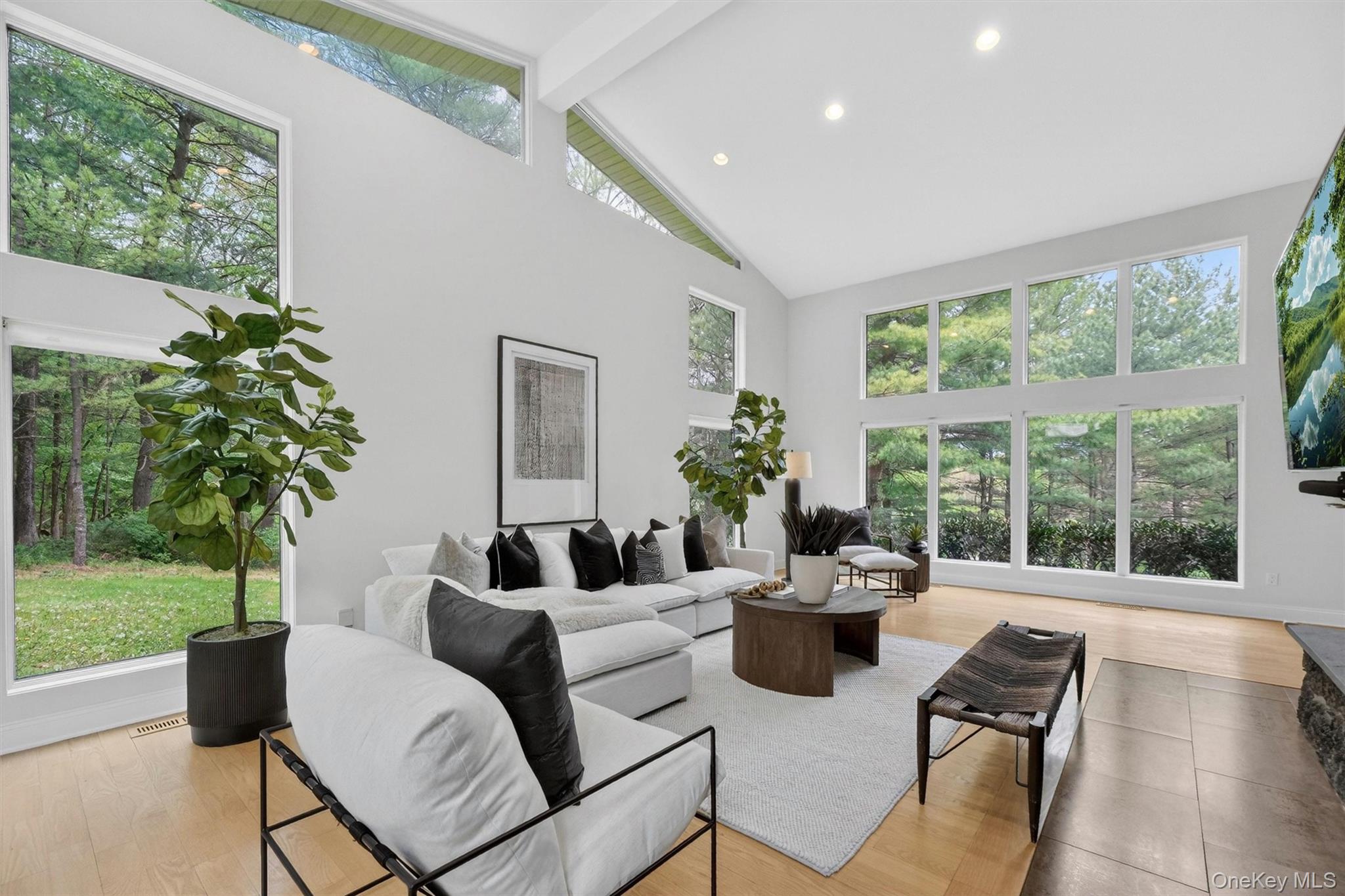 8 Pine Tree Lane