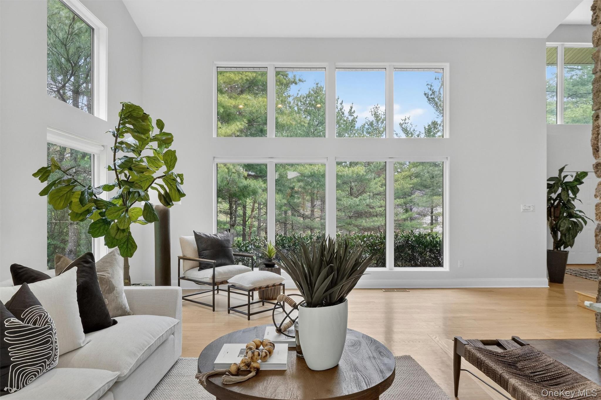 8 Pine Tree Lane