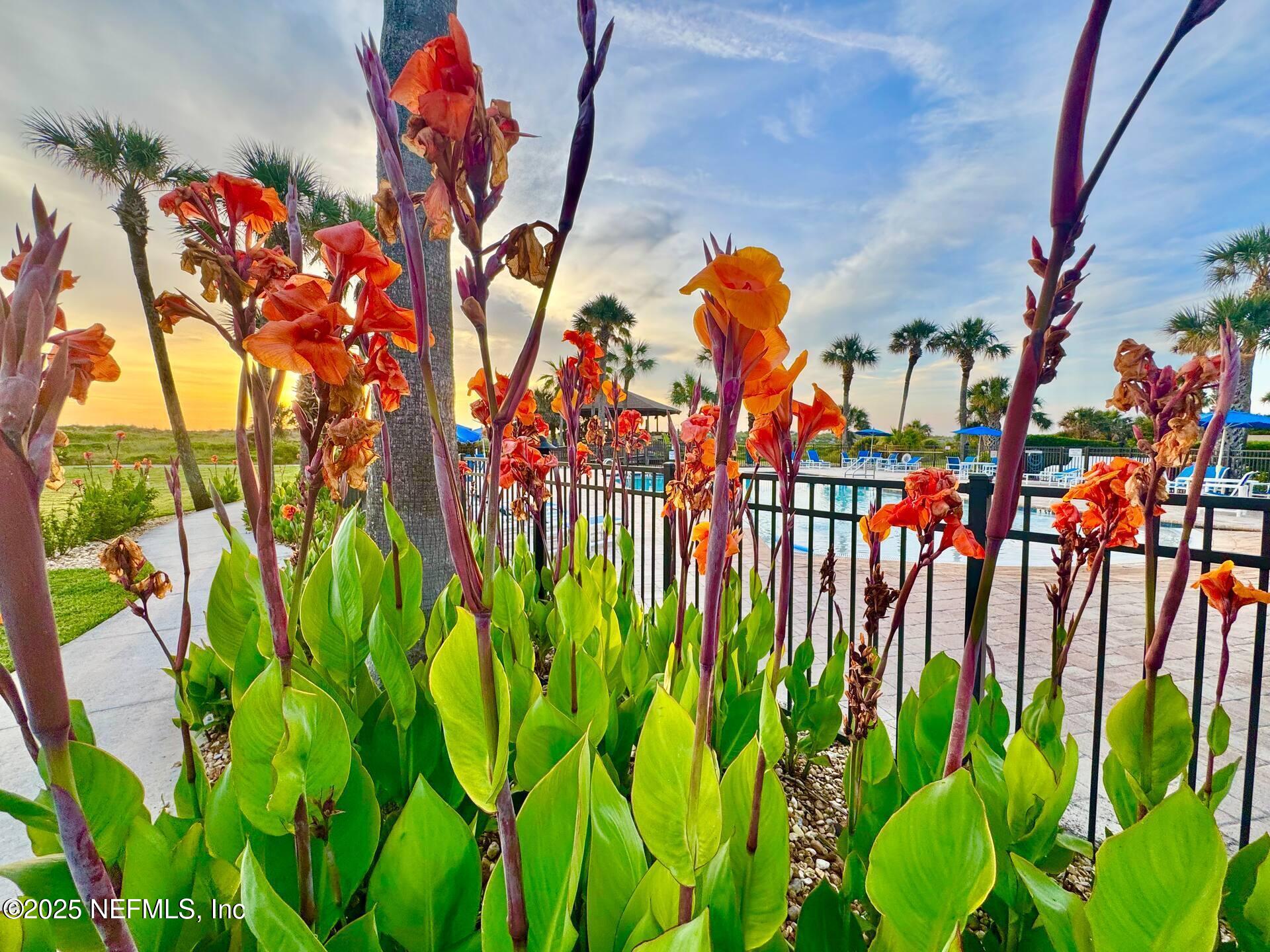 850 A1A BEACH Boulevard, 30, St. Augustine Unit: 30