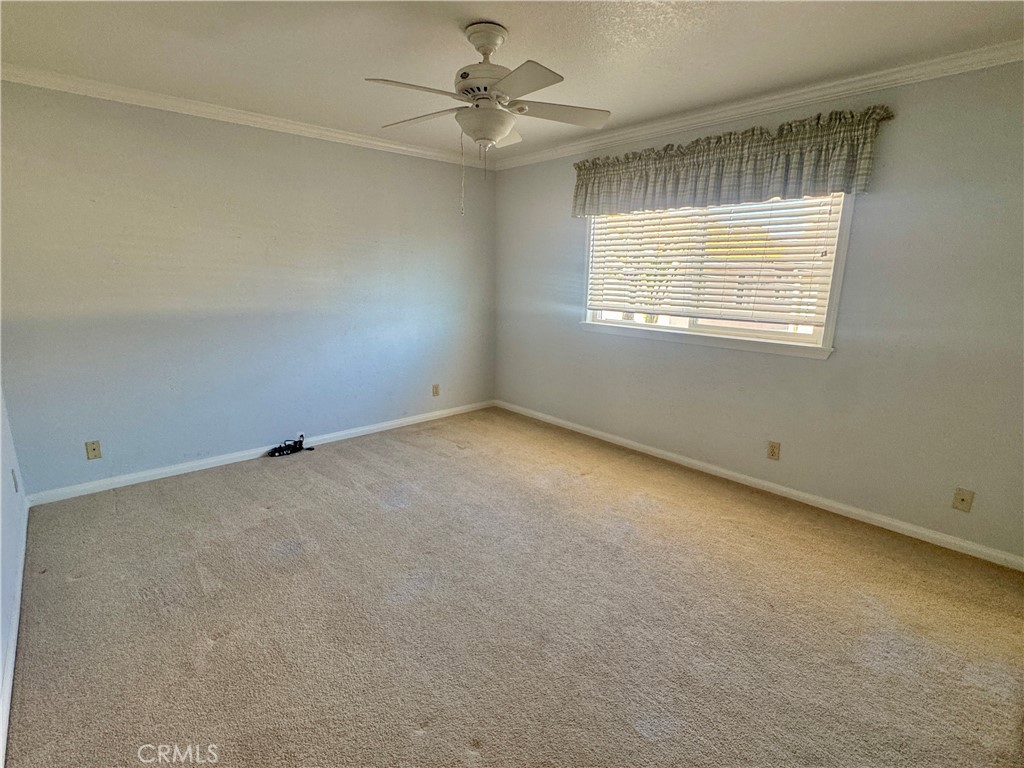 2227 Nelson Avenue B