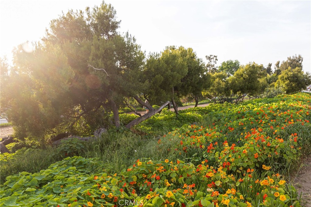 1600 Ardmore Avenue 107