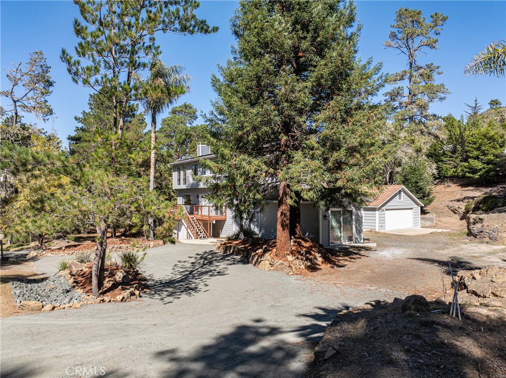2146 Cowper Street