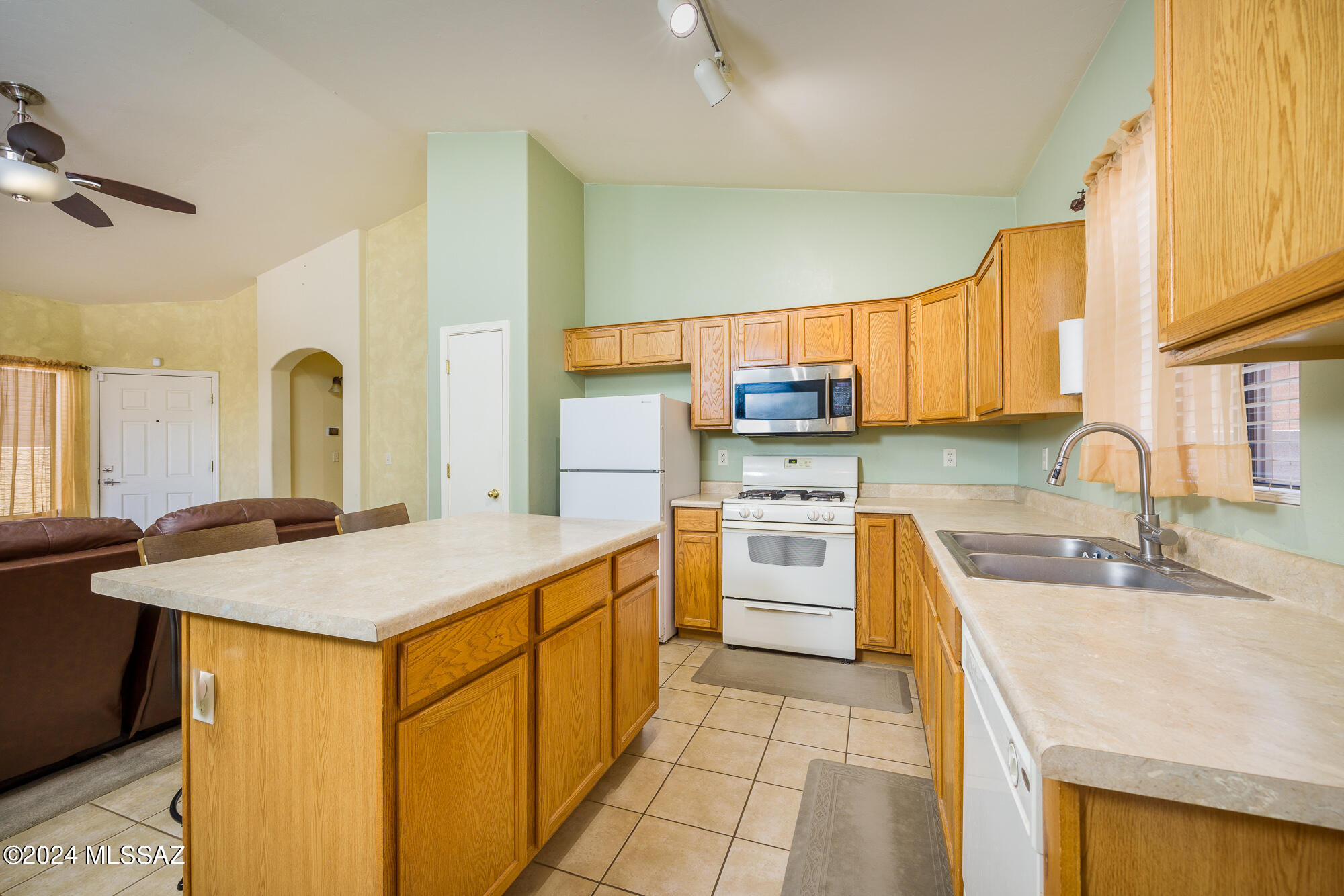 387 E Camino Limon Verde