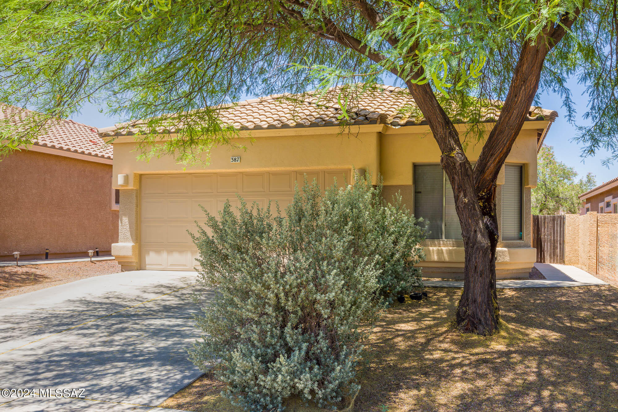 387 E Camino Limon Verde