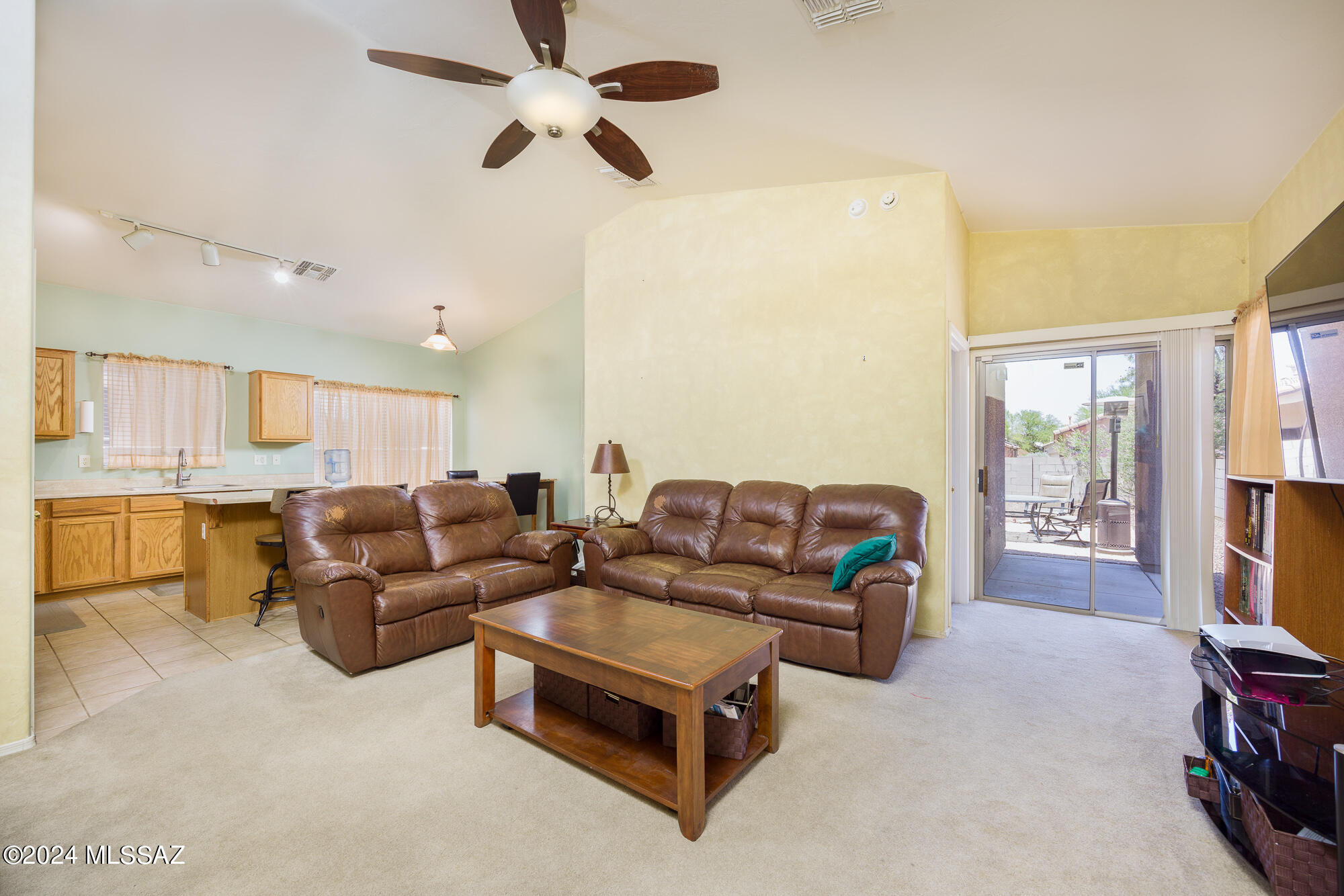 387 E Camino Limon Verde