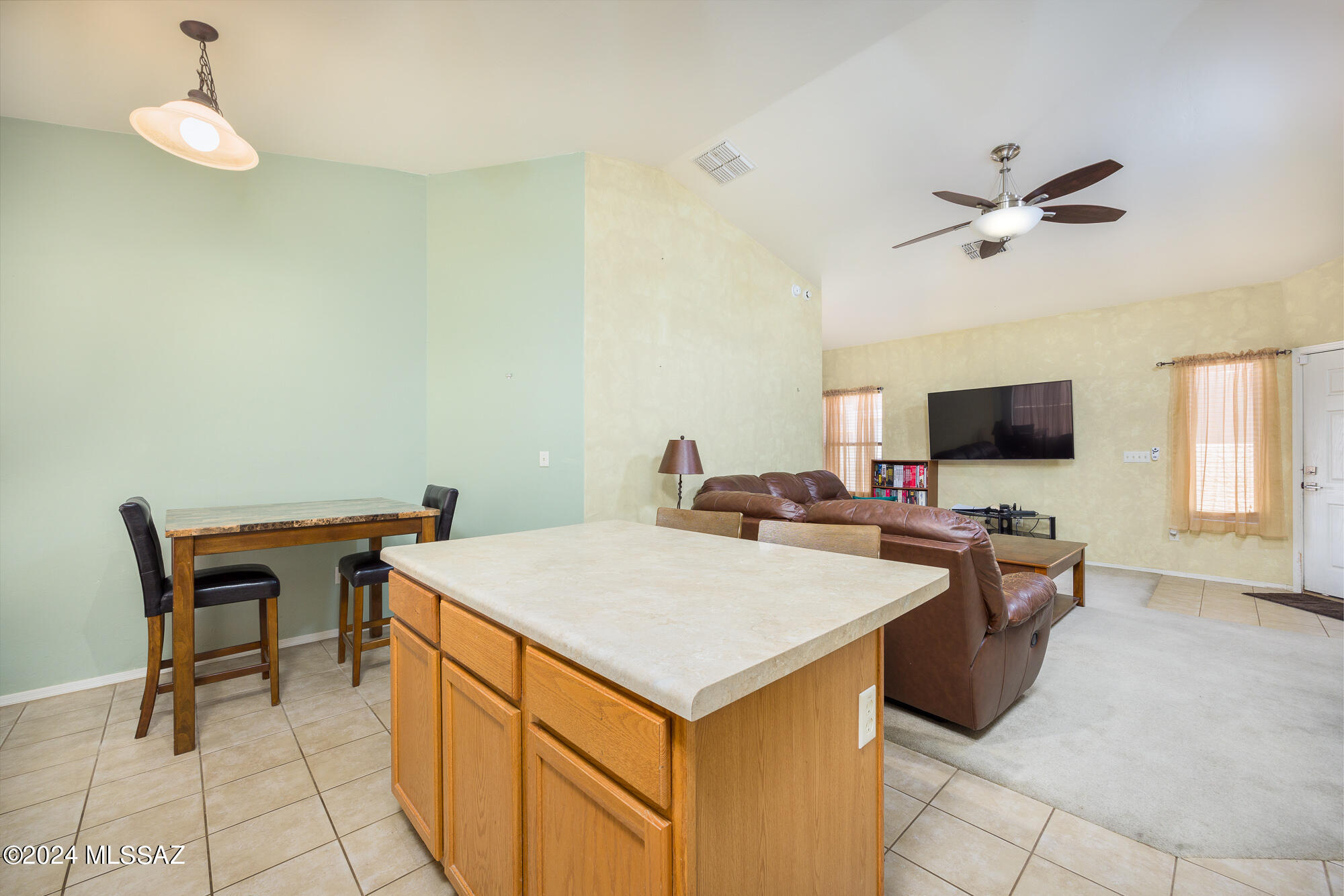 387 E Camino Limon Verde