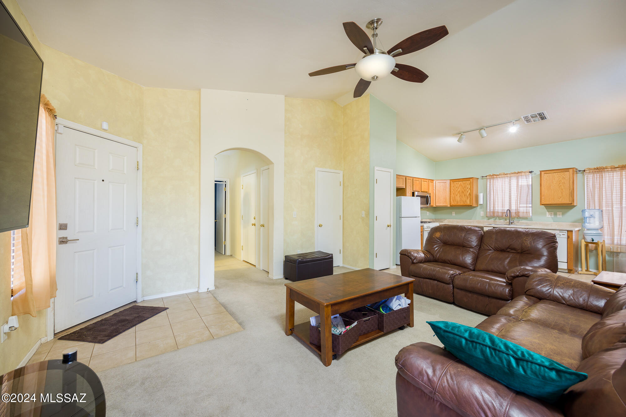 387 E Camino Limon Verde