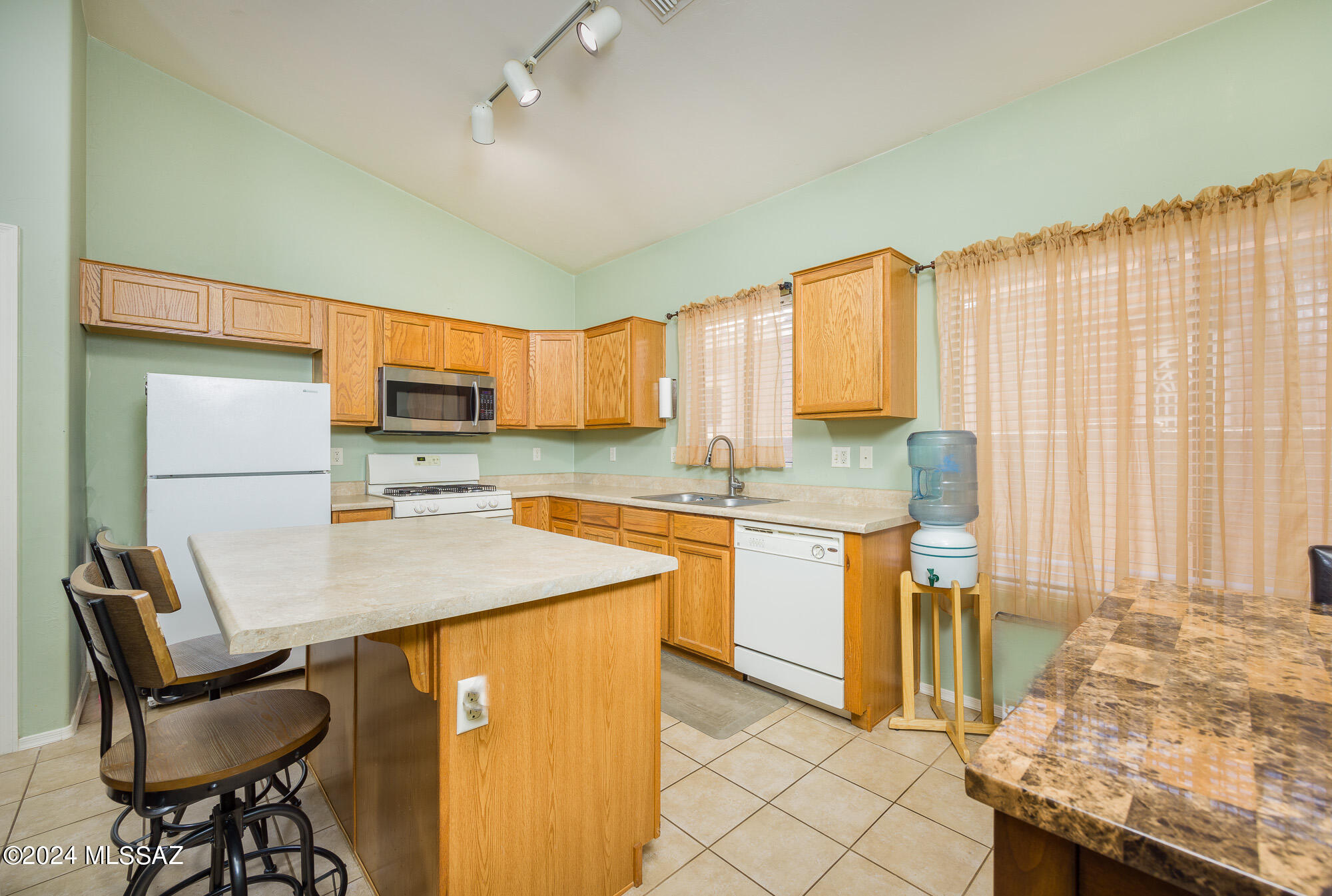 387 E Camino Limon Verde