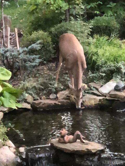 718 River Hills Drive