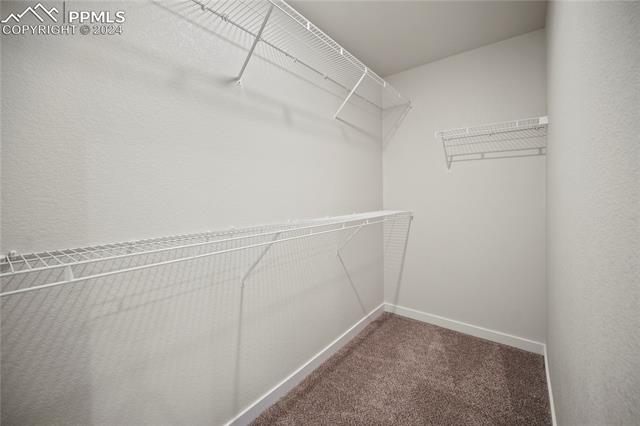 8110 Yellowleaf Place