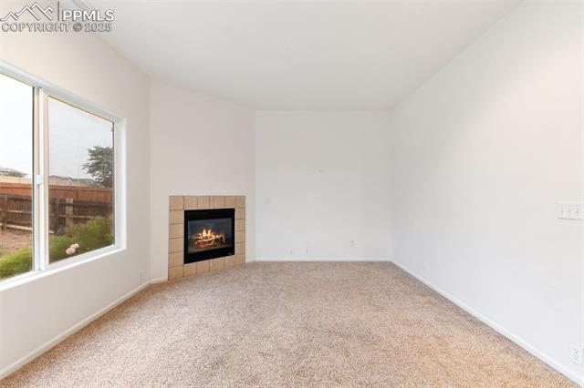 8718 Silver Glen Drive