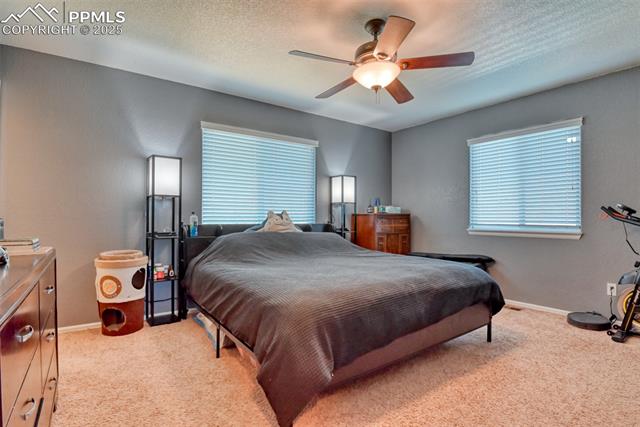 11155 Falling Star Road