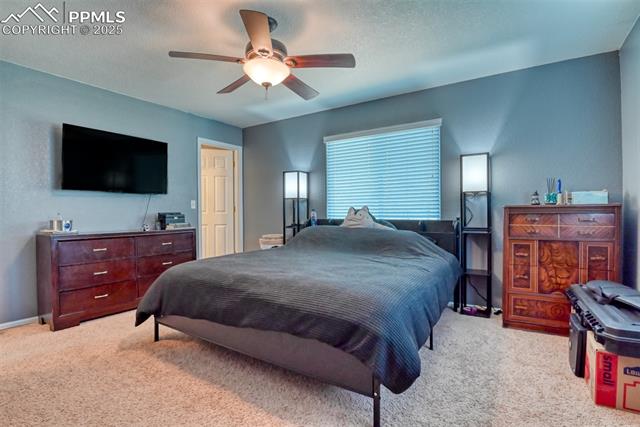 11155 Falling Star Road