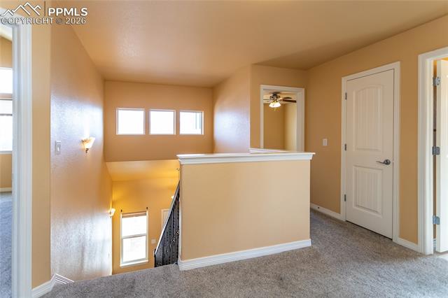7160 Red Cardinal Loop