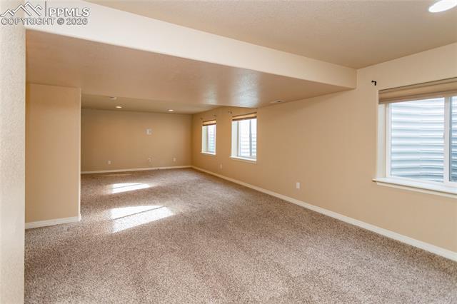 7160 Red Cardinal Loop