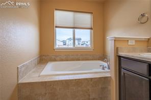 7160 Red Cardinal Loop