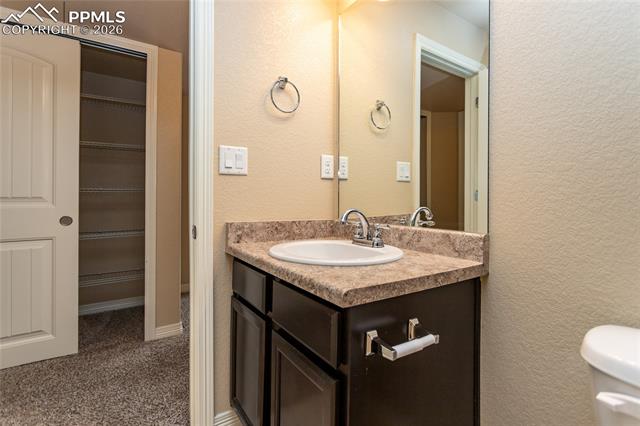 7160 Red Cardinal Loop