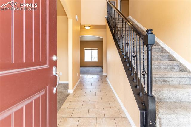 7160 Red Cardinal Loop