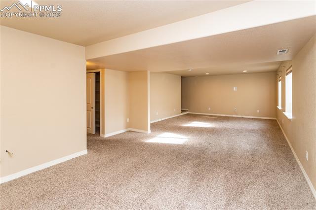 7160 Red Cardinal Loop