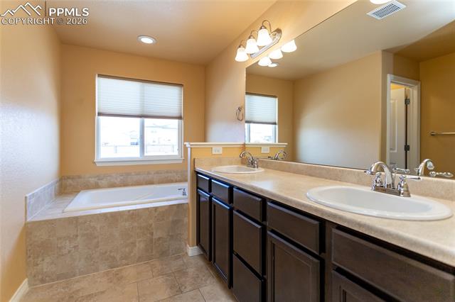 7160 Red Cardinal Loop