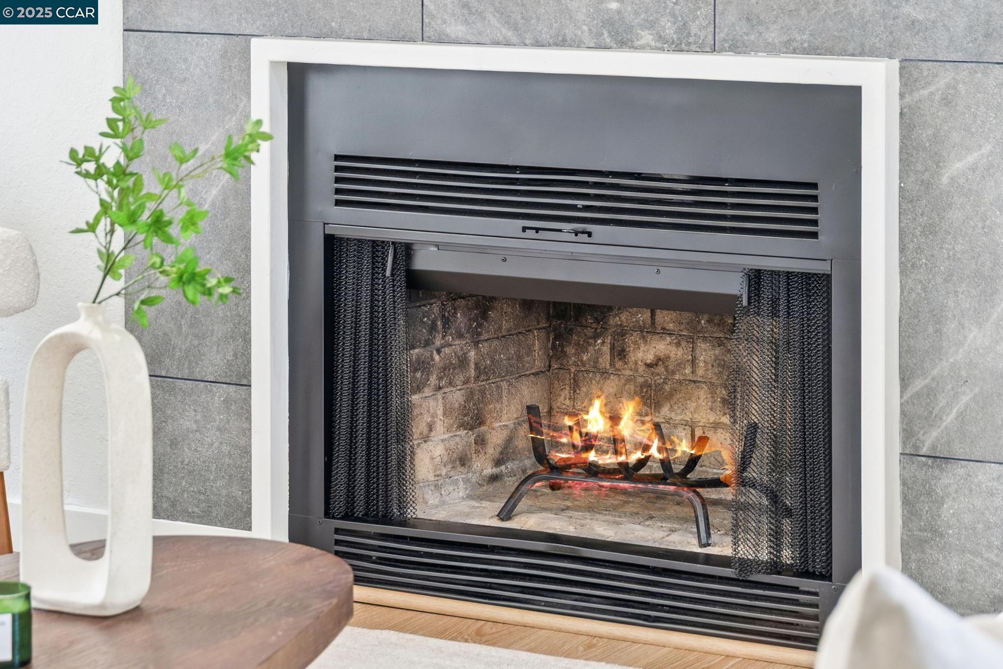 943 MATTERHORN COURT