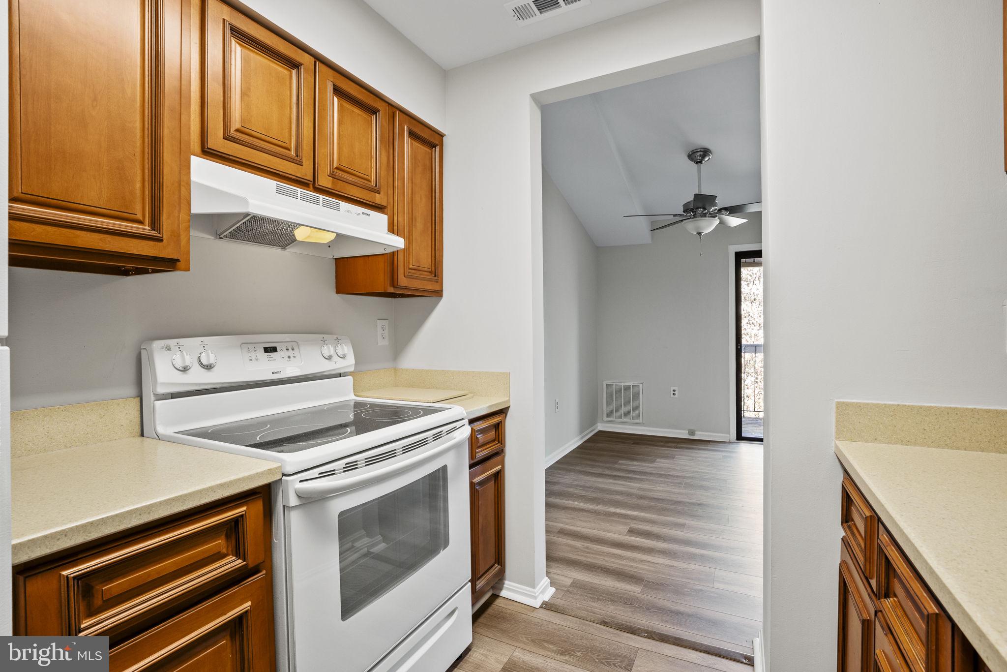 1117 Castle Harbour Way #3b
