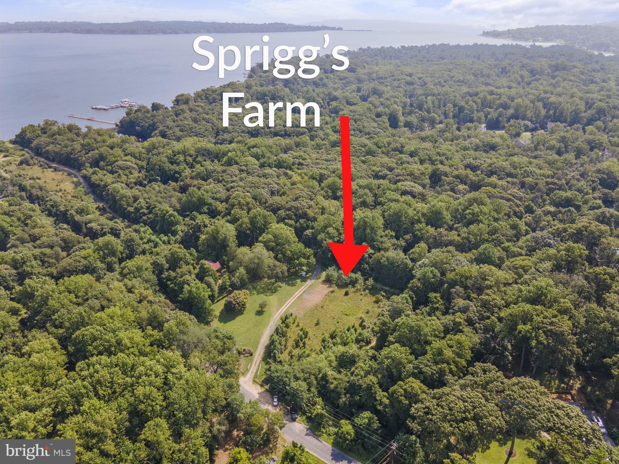 641 Shore Acres Rd