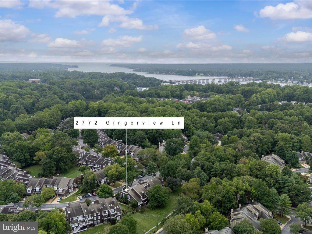 2772 Gingerview Ln