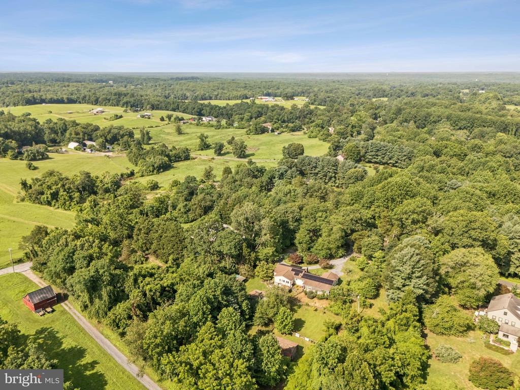 4439 Cobalt Dr