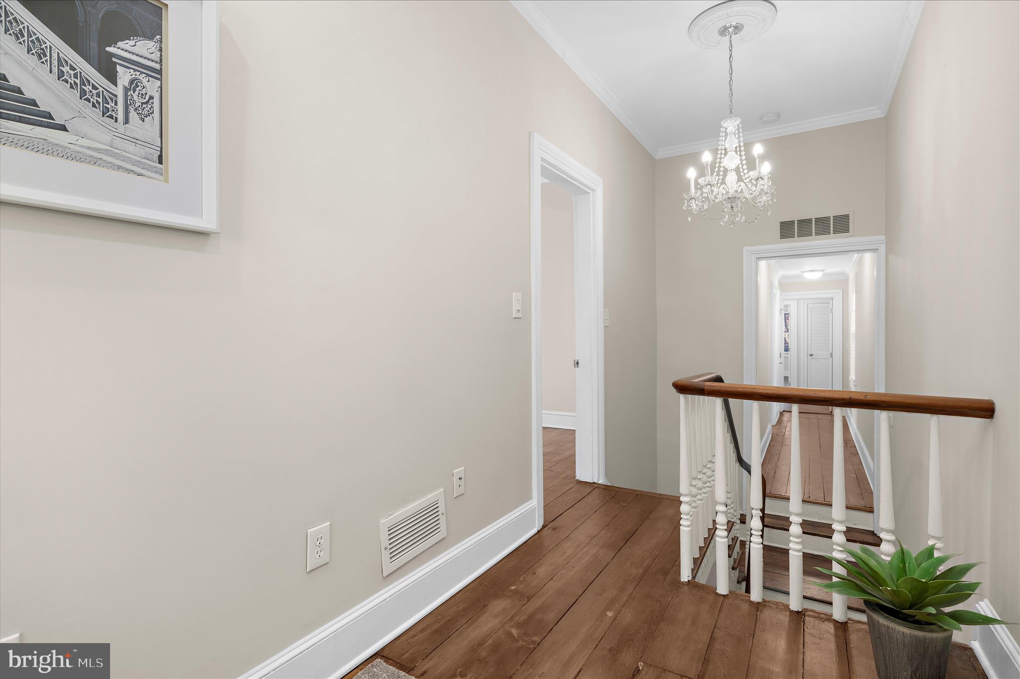 163 PRINCE GEORGE STREET