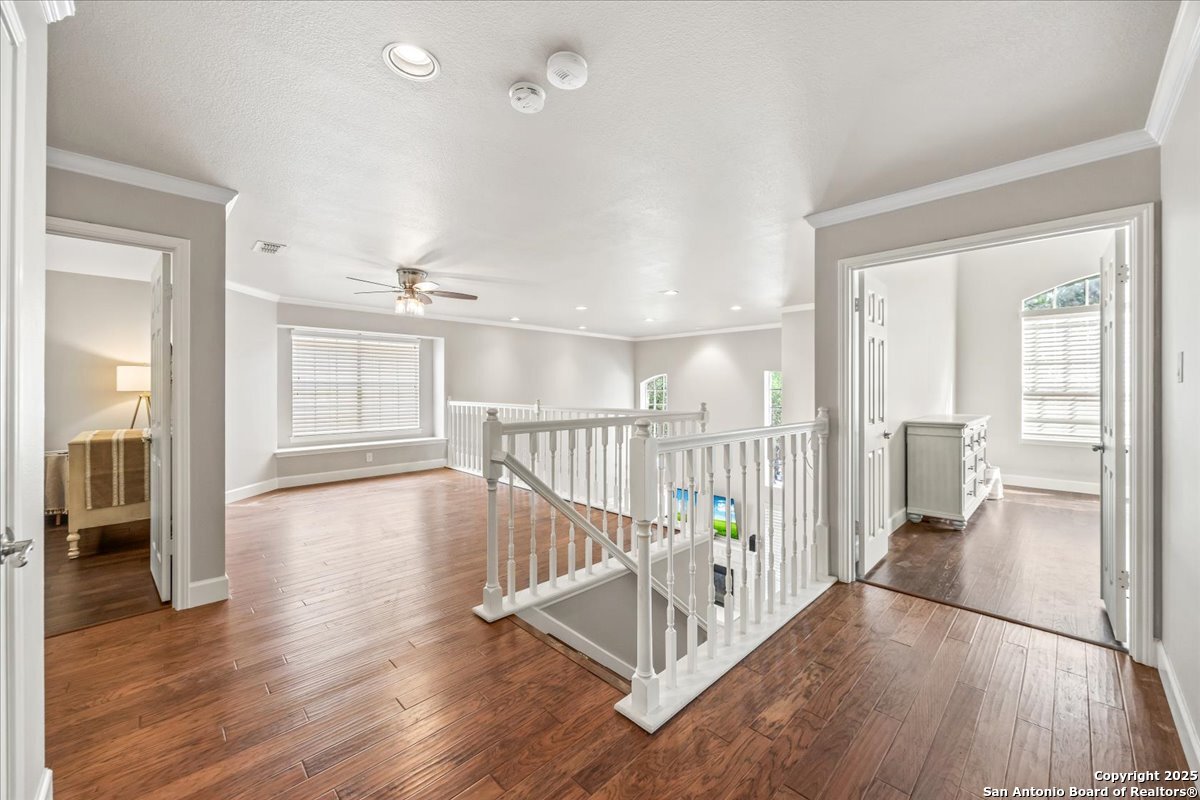 13822 Chittim Meadow