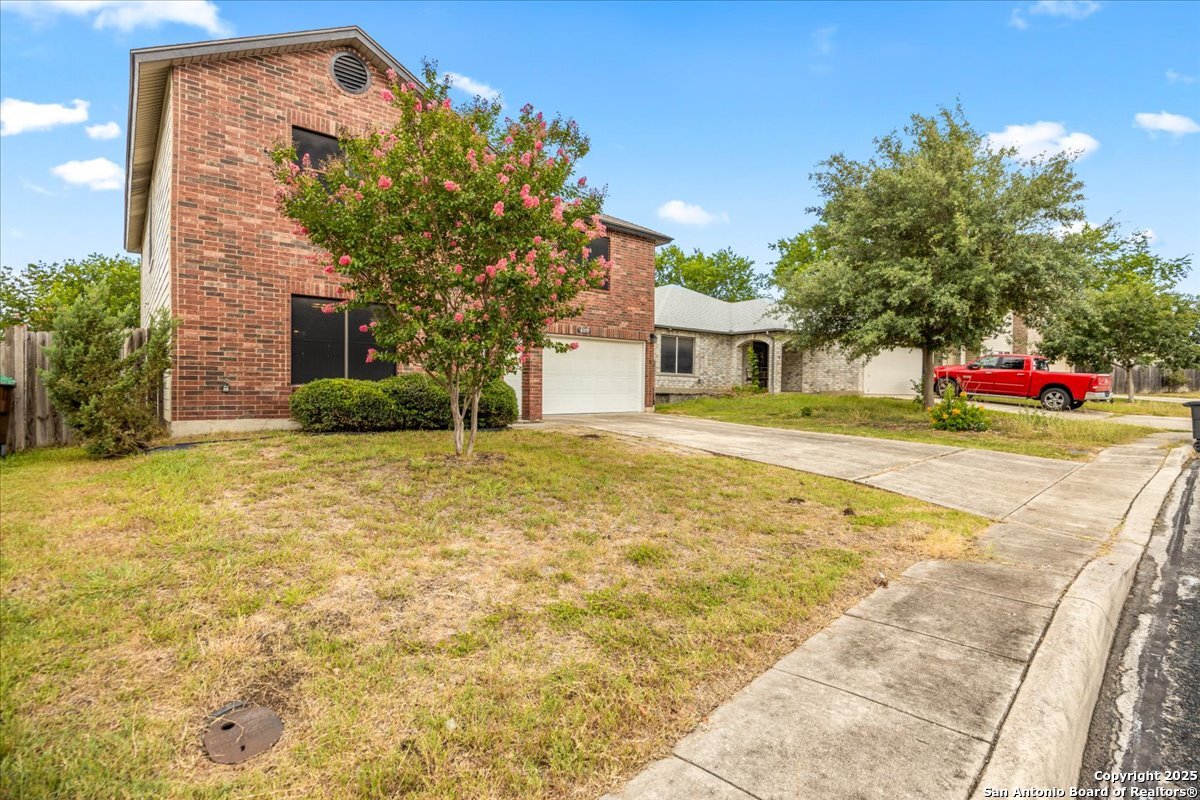 6119 Ferrysage