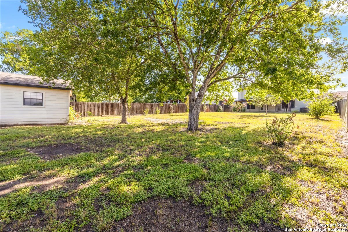 6119 Ferrysage