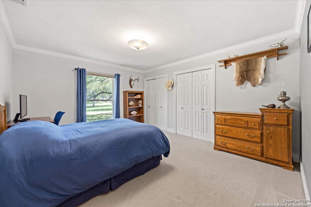 9392 Cinchona Trail