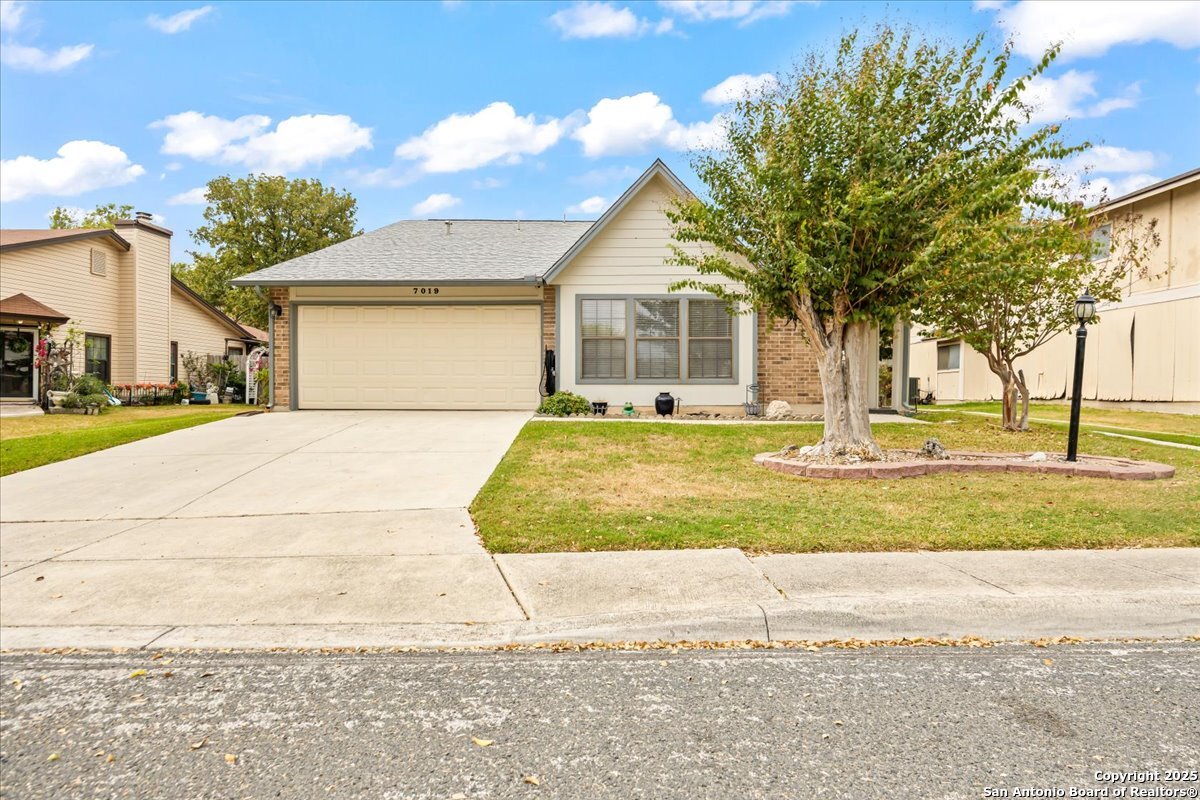 7019 Elk Trail