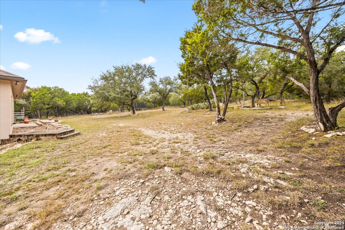 31720 Retama