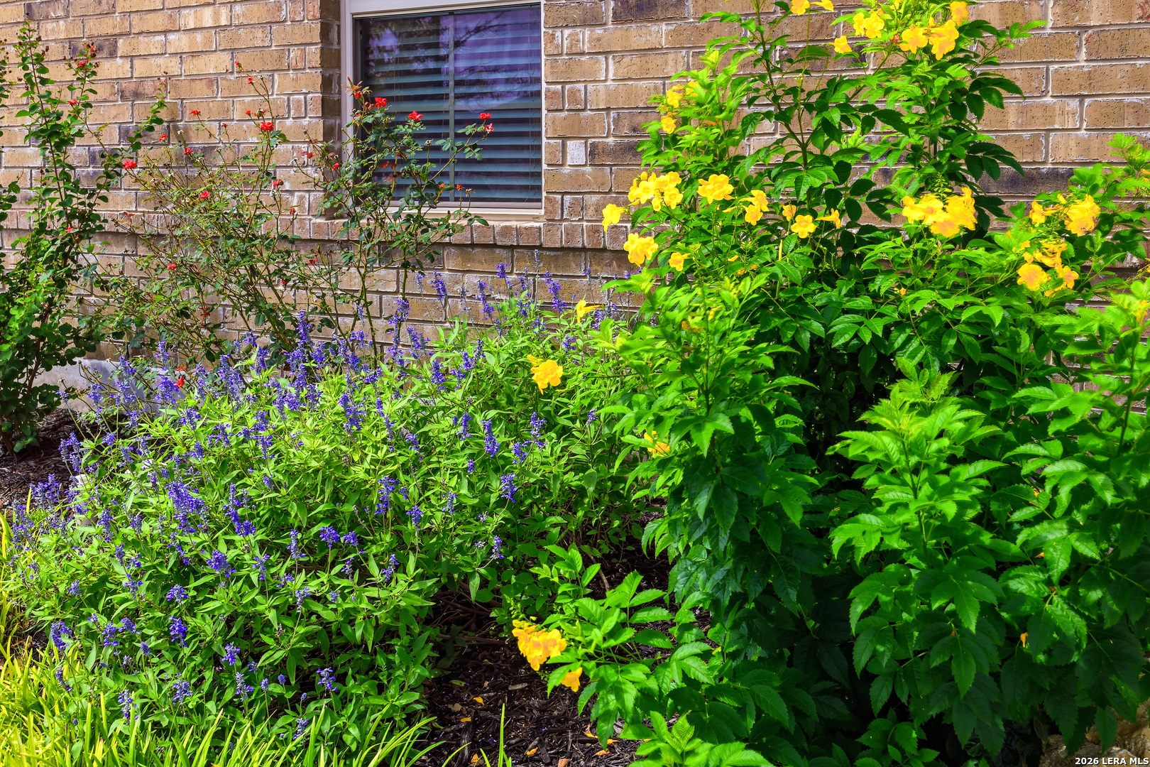 2972 Greenbriar