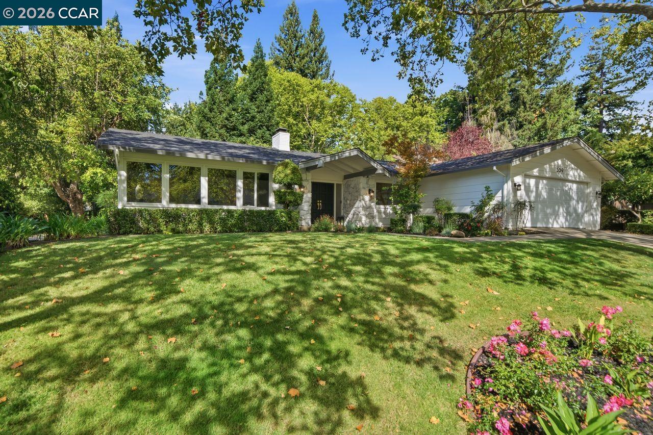 559 Old Orchard Dr
