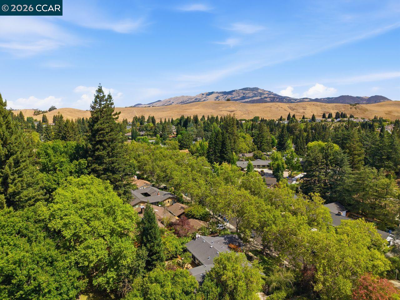 559 Old Orchard Dr
