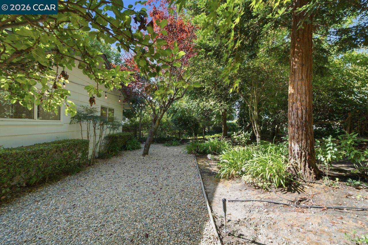 559 Old Orchard Dr